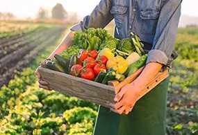 致南京中膳餐飲全體員工的一封信